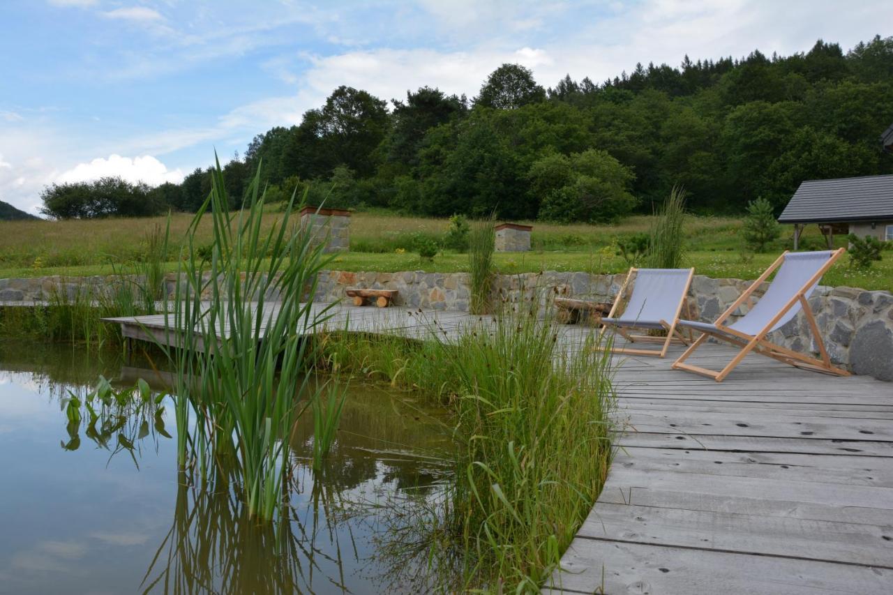 Czarny Dzial Hotell Wysowa-Zdrój Exteriör bild